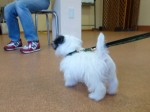 p091108-010 <p>先生の話はしっかりと聞こう</p>